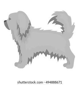 Pekingese vector icon in monochrome style for web