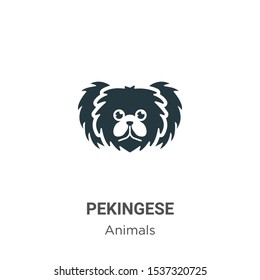 Pekingese vector icon on white background. Flat vector pekingese icon symbol sign from modern animals collection for mobile concept and web apps design.