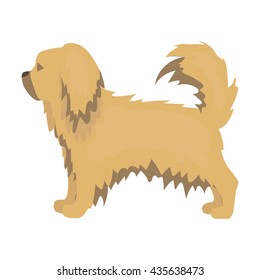 Pekingese vector illustration icon in cartoon design