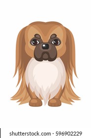 Pekingese . Vector image of a cute purebred dogs in cartoon style.