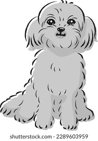 Pekipou-Illustration (Mischhund von Pekingese und Toy Poodle)