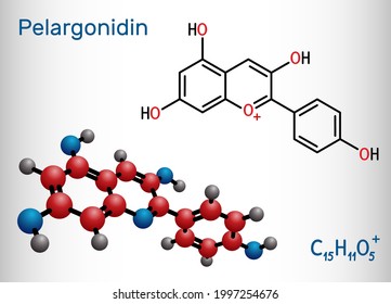 Pelargonidin molecule. It is anthocyanidin cation, plant pigment, orange color. Structural chemical formula and molecule model. Vector illustration
