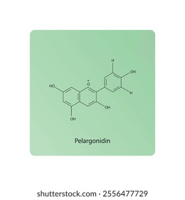 Pelargonidin skeletal structure diagram.anthocyanin compound molecule scientific illustration.