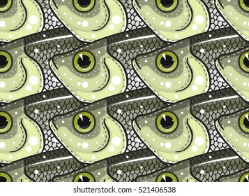 pelecus cultratus pattern