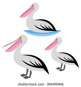 Pelican