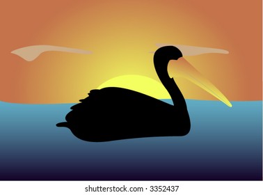 Pelican