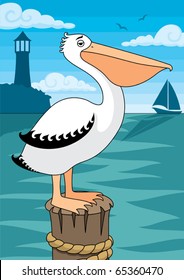 Pelican