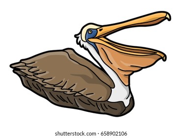 Pelican