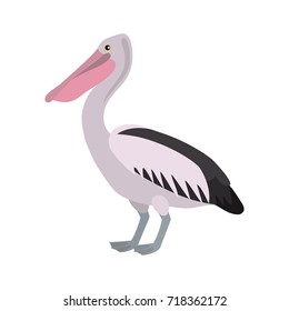 pelican