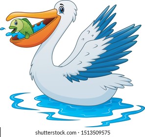 Pelican animal cartoon eating a fish on water