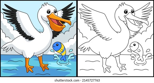 Pelican Animal Coloring Page Colored Illustration