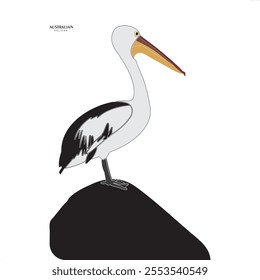 Pelican, Australian pelican, bird, animal, unique, icon, vector