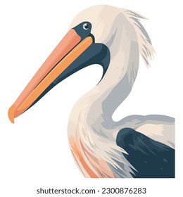 pelican beak curves on branch over white