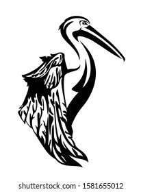 pelican bird with beautiful wing side view head black and white vector outline