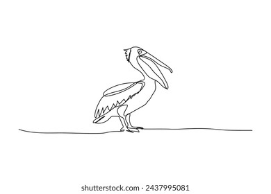 Pelican bird , black line drawing, one line outline on white background