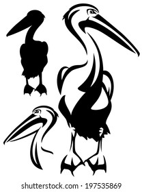 pelican bird black and white outline - vector collection of bird head design and silhouette