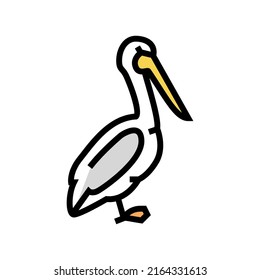 pelican bird color icon vector. pelican bird sign. isolated symbol illustration