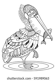 Pelican bird coloring book vector illustration. Black and white lines. Lace pattern