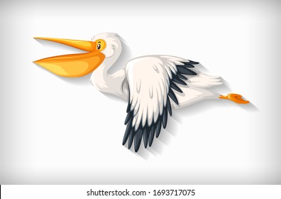 Pelican bird flying on white background illustration