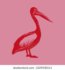 Pelican bird. Hand drawn vector illustration in vintage technique of linocut or woodcut stamped on a grain old paper