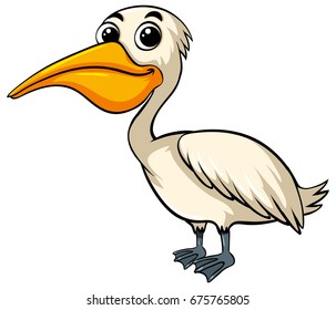 Pelican bird with happy face illustration