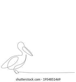 Pelican bird line drawing vector illustration