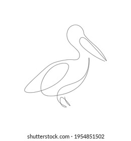 Pelican bird line drawing vector illustration