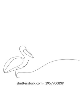 Pelican bird line drawing vector illustration