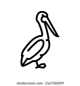 pelican bird line icon vector. pelican bird sign. isolated contour symbol black illustration