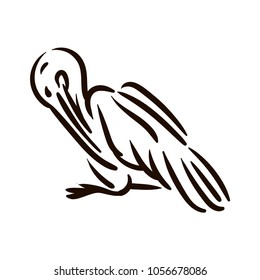 Pelican bird line silhouette hand drawn illustration