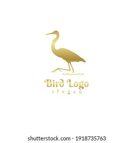 Vector del logotipo de ave pelícola con diseño de oro moderno