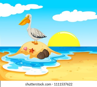 Pelican Bird on the Beach illustration