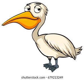 Pelican bird on white background illustration