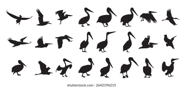 pelican bird silhouettes set vector