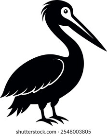 Pelican Bird Vetor ilustração arte 