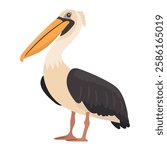 Pelican bird. Vector clipart illustration on isolated background.