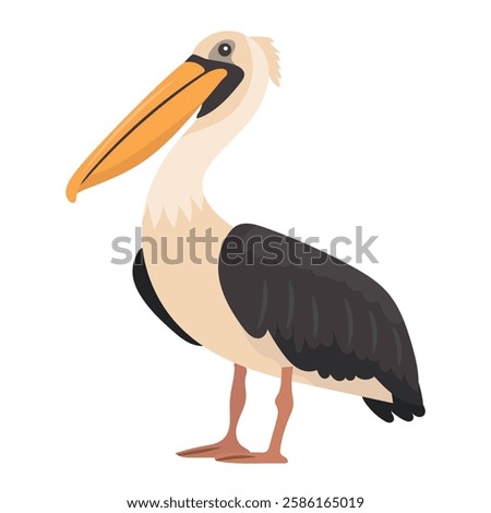 Pelican bird. Vector clipart illustration on isolated background.