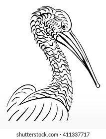 Pelican bird, vector illustration, black and white, hand drawn, line design