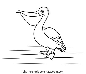 Pelican Bird vector illustration template for many purpose. Drawing lesson for children. Vector illustration	