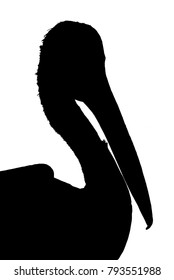 Pelican - black silhouette vector