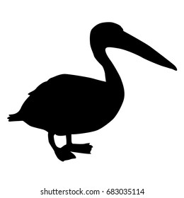 Pelican. Black silhouette. Vector illustration isolated on white background