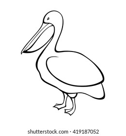 Pelican black white bird isolated illustration vector