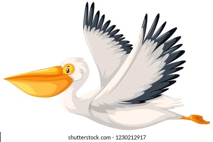 A pelican character on white background illustration