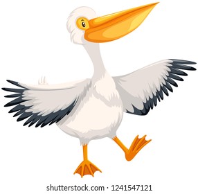 Pelican character on white background illustration