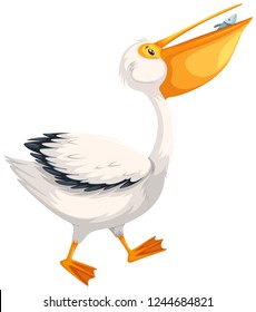 A pelican character on white background illustration