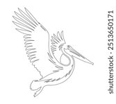 Pelican in continuous line art drawing style. Black linear sketch on white background. Vector illustration, pelican bird line art simple design vector