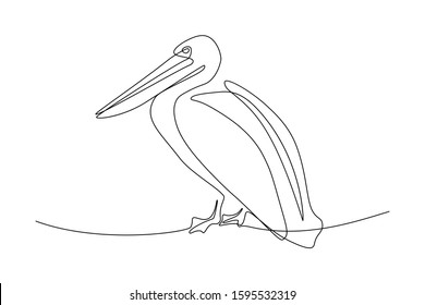 Pelican in continuous line art drawing style. Black linear sketch on white background. Vector illustration