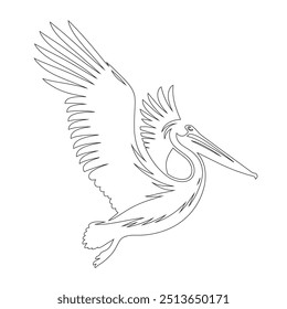 Pelican in continuous line art drawing style. Black linear sketch on white background. Vector illustration, pelican bird line art simple design vector