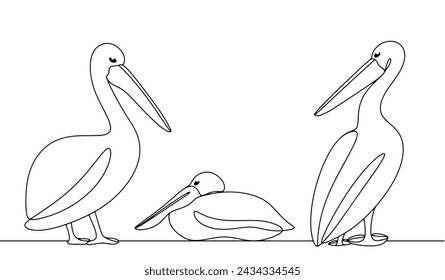 Pelican in different poses. A large waterfowl with a long beak and a sac under it. Vector illustration. Images produced without the use of any form of AI software at any stage.