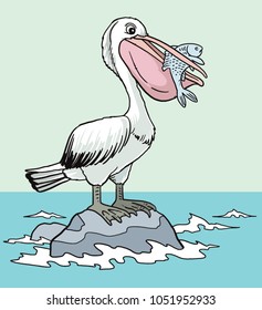 Pelican eating fish